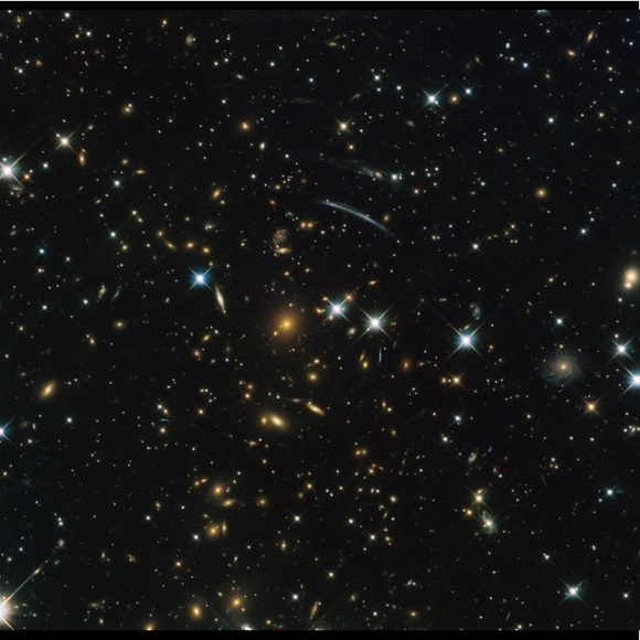 Meet your Posher, Kody - Picture 1 of 1